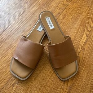 Steve Madden Women's Brown Slide Sandals